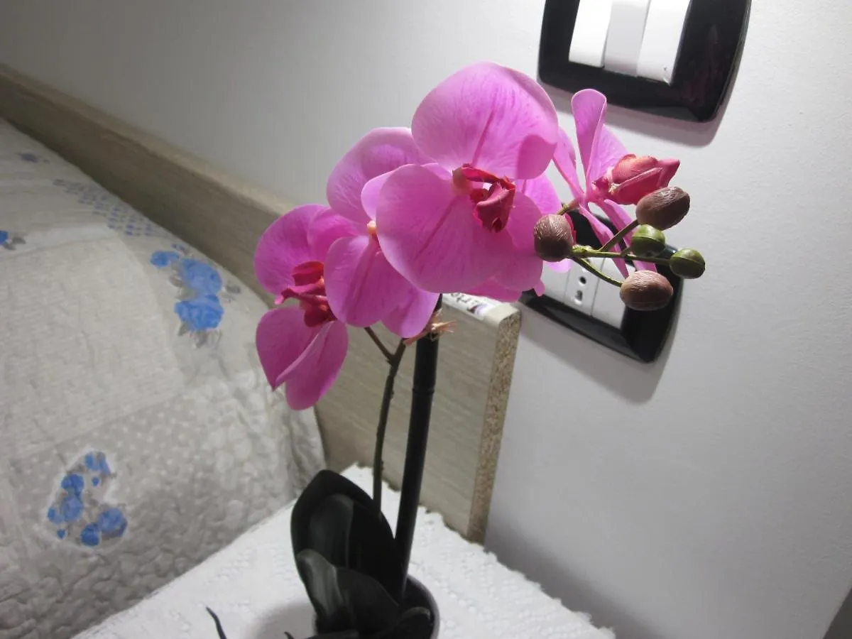 Rosa Cottage Marghera Olaszország